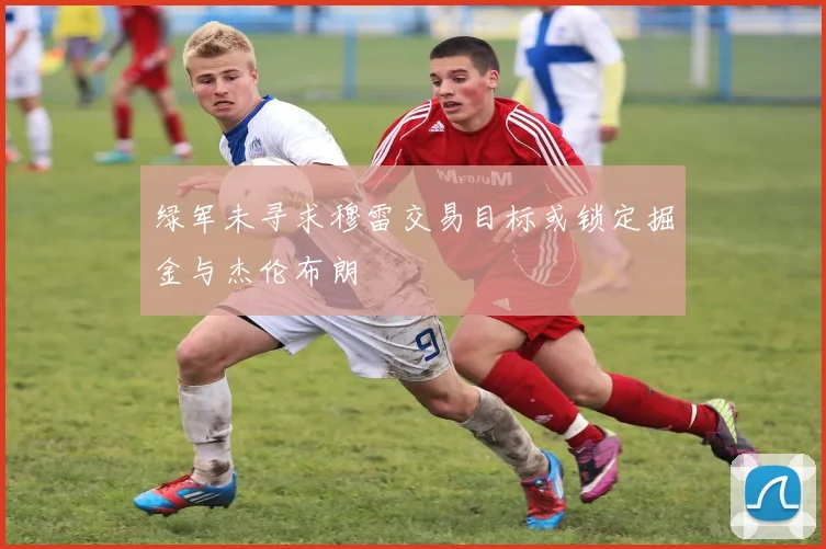 绿军未寻求穆雷交易目标或锁定掘金与杰伦布朗