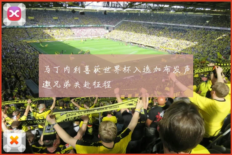 马丁内利喜获世界杯入选加布发声邀兄弟共赴征程