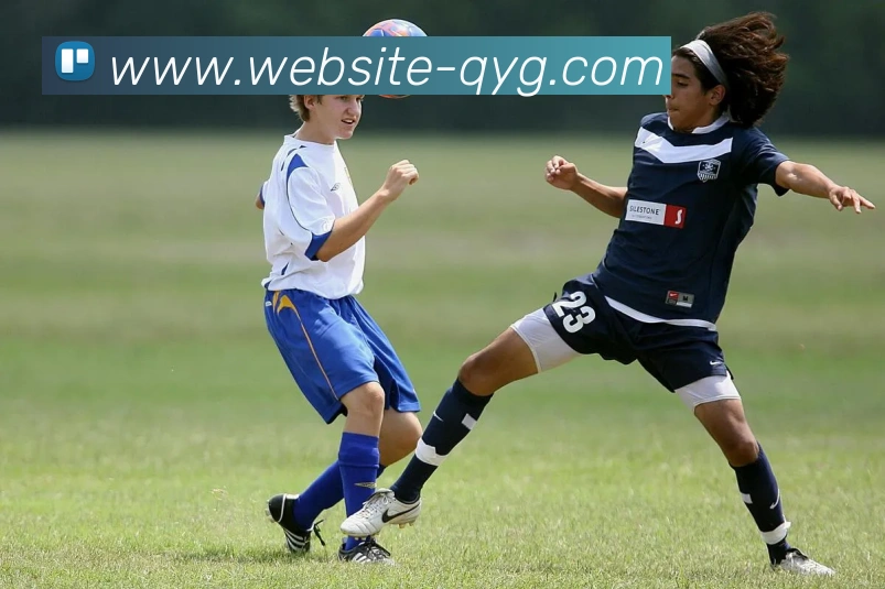 App Interface Preview